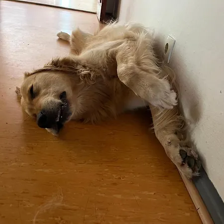 Ferienheim Mosbach Wutha-Farnroda