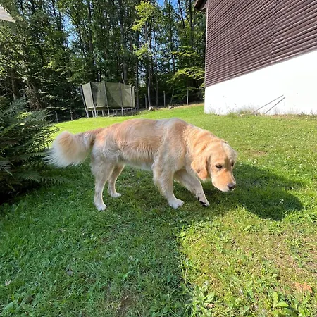 Parque de vacaciones Ferienheim Mosbach 2*