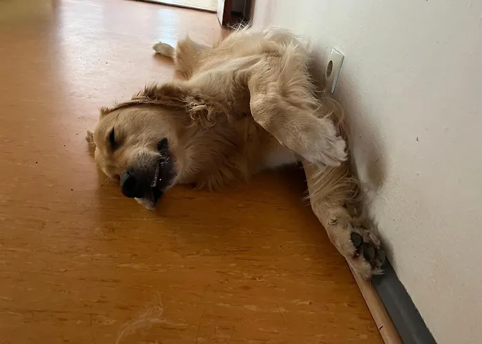 Ferienheim Mosbach Wutha-Farnroda